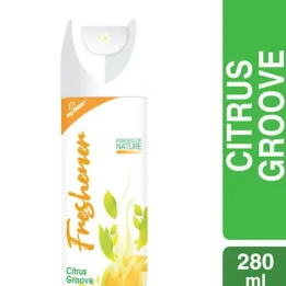 Essence of Nature Air Freshener – Citrus Groove 280 ml